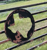 A metal gate with a silhouette cutout of Texas, featuring a rustic appearance with visible patches of worn paint. Behind the gate is a field of green grass, interspersed with patches of blue wildflowers, and a tree line in the distance under a cloudy sky.